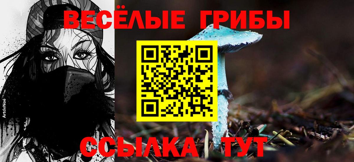 Пушкино  Галлюциногенные грибы Psilocybine cubensis  Вход с VPN 